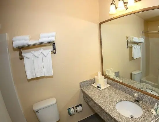 Standard Oda, Sigara İçilmez (NO PETS)