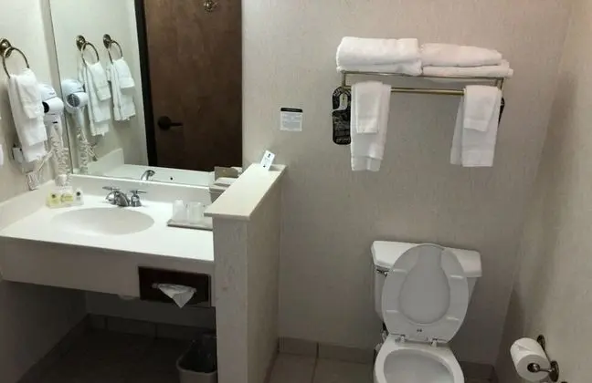 Standard Oda, 1 En Büyük (King) Boy Yatak, Sigara İçilmez