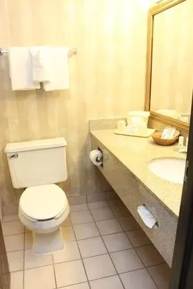 Süit, 1 En Büyük (King) Boy Yatak, Sigara İçilmez