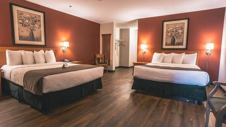 Süit, Birden Çok Yatak, Sigara İçilmez (Pet Friendly)