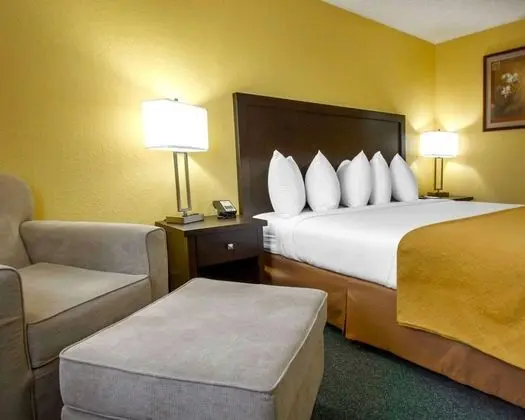 Standard Room, 1 King Bed, Pet-Friendly