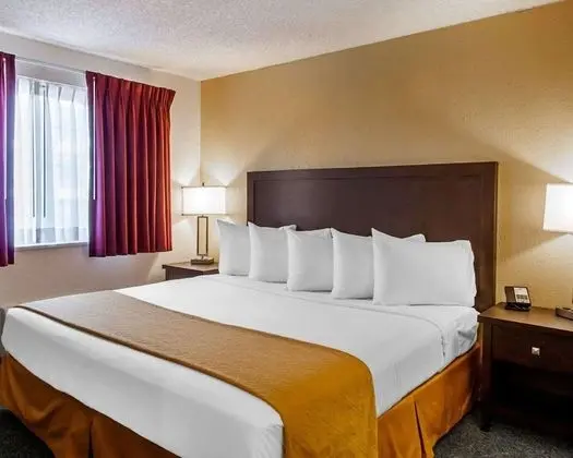 Standard Room, 1 King Bed, Pet-Friendly