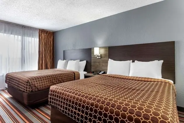 Oda, 2 Büyük (Queen) Boy Yatak, Sigara İçilmez (Efficiency)