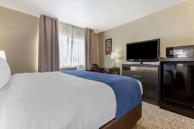 Deluxe Süit, Sigara İçilmez