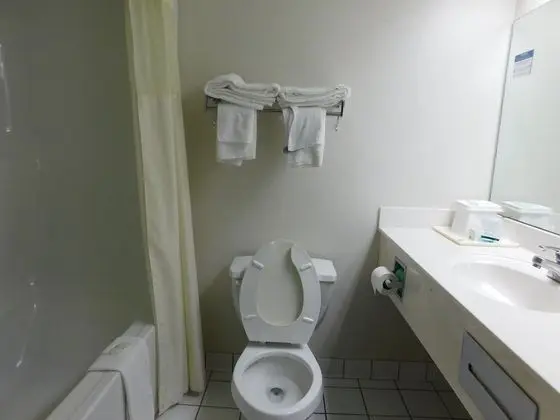 Standard Tek Büyük Yataklı Oda, 2 Çift Kişilik Yatak, Sigara İçilmez
