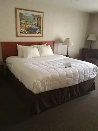 Oda