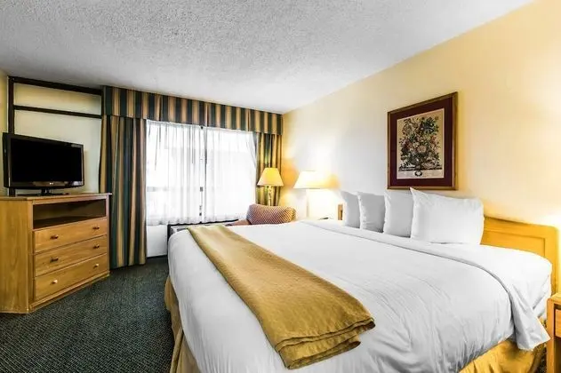 Standard Oda, 1 En Büyük (King) Boy Yatak, Sigara İçilmez