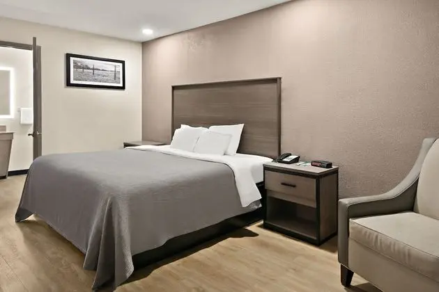 Oda, 1 En Büyük (King) Boy Yatak, Engellilere Uygun, Sigara İçilmez