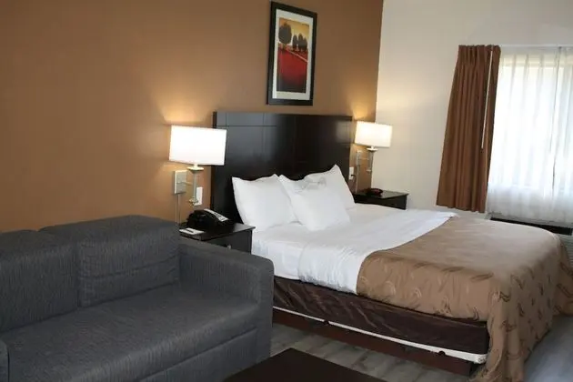 Süit, Sigara İçilmez (1 King Bed and Pull-out Sofa Bed)