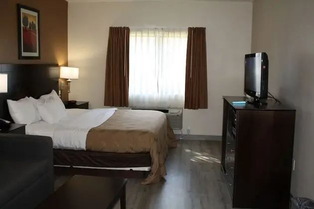 Süit, Sigara İçilmez (1 King Bed and Pull-out Sofa Bed)