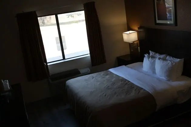 Süit, Sigara İçilmez (1 King Bed and Pull-out Sofa Bed)