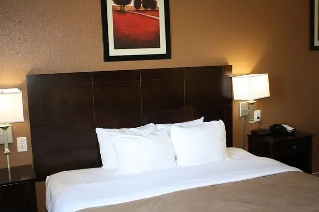 Süit, Sigara İçilmez (1 King Bed and Pull-out Sofa Bed)