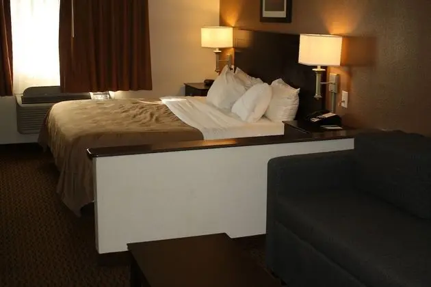 Süit, Sigara İçilmez (1 King Bed and Pull-out Sofa Bed)