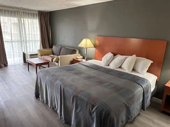Suite, 1 King Bed with Sofa bed, Non Smoking