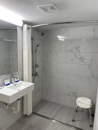 Standard Tek Büyük Yataklı Oda, 2 Çift Kişilik Yatak, Engellilere Uygun