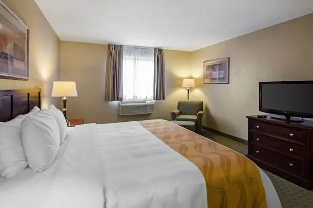 Standard Oda, 1 En Büyük (King) Boy Yatak, Sigara İçilmez (Pet Friendly)