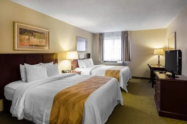 Standard Oda, 2 Büyük (Queen) Boy Yatak, Sigara İçilmez (Pet Friendly)