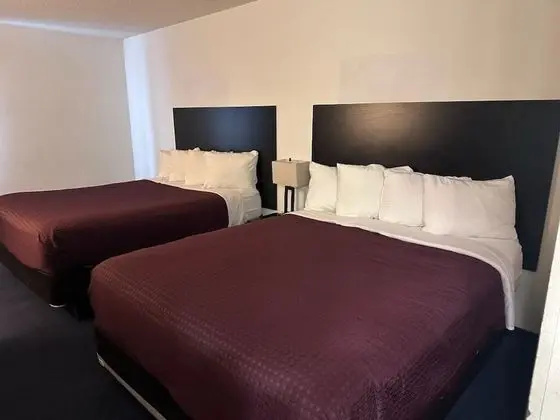 Standard Oda, 2 Büyük (Queen) Boy Yatak, Sigara İçilmez (Pet Friendly)