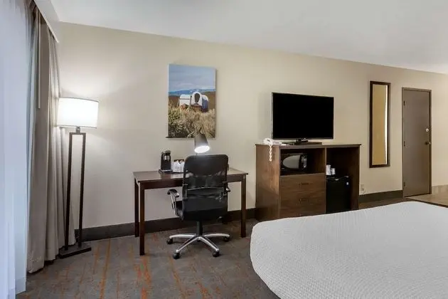 Standard Oda, 1 En Büyük (King) Boy Yatak, Engellilere Uygun, Buzdolabı ve Mikrodalga (Pet Friendly)