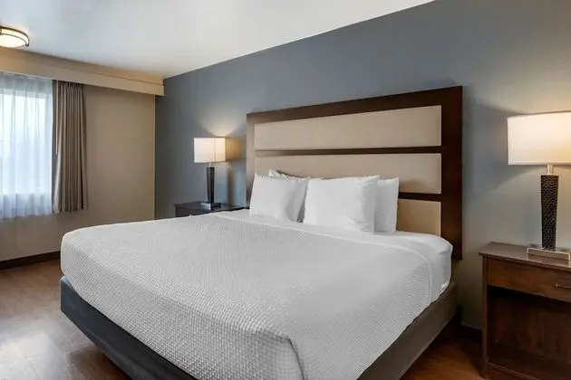 Standard Oda, 1 En Büyük (King) Boy Yatak, Engellilere Uygun, Buzdolabı ve Mikrodalga (Pet Friendly)