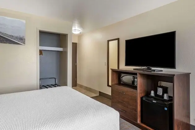 Standard Oda, 2 Büyük (Queen) Boy Yatak, Sigara İçilmez, Buzdolabı ve Mikrodalga (Pet Friendly)