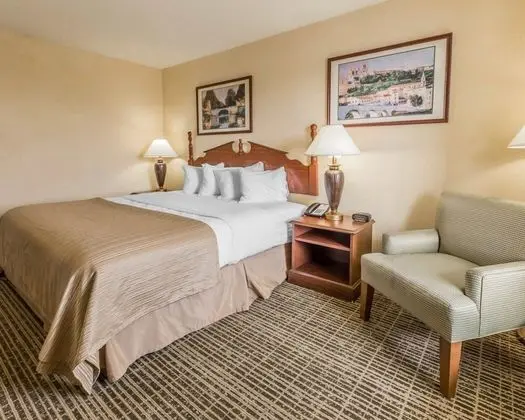 Oda, 1 En Büyük (King) Boy Yatak, Engellilere Uygun, Sigara İçilebilir