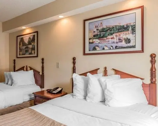 Standard Oda, 2 Çift Kişilik Yatak, Sigara İçilmez