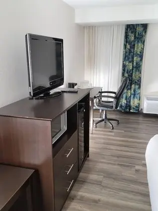 Standard Tek Büyük Yataklı Oda, 2 Çift Kişilik Yatak, Sigara İçilmez