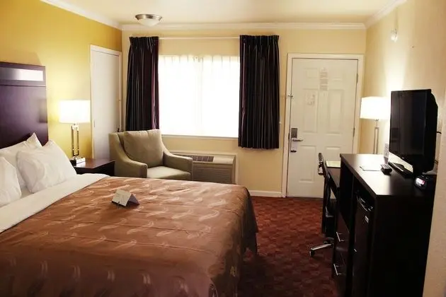 Oda, 1 En Büyük (King) Boy Yatak, Engellilere Uygun, Sigara İçilmez (Upgrade)