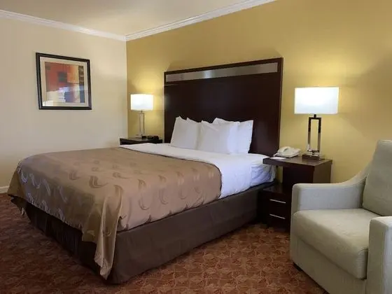 Oda, 1 En Büyük (King) Boy Yatak, Engellilere Uygun, Sigara İçilmez (Upgrade)