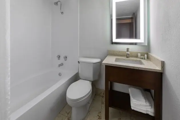 Deluxe Oda, 1 En Büyük (King) Boy Yatak, Sigara İçilmez, Sıcak Su Küveti