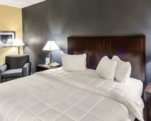 Deluxe Oda, 1 En Büyük (King) Boy Yatak ve Çekyat (2 Person Sofa Bed)