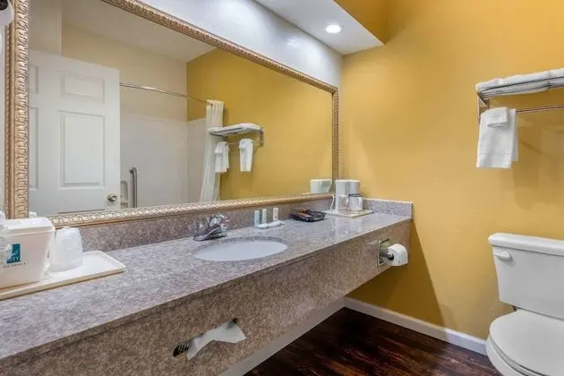 King Room Business Accessible Non Smoking