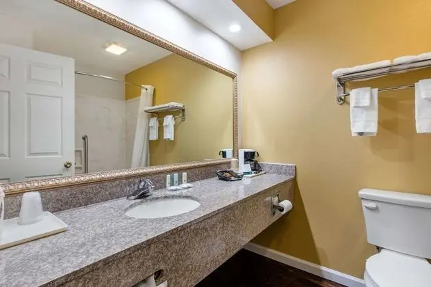 Standard Oda, 1 En Büyük (King) Boy Yatak, Sigara İçilmez