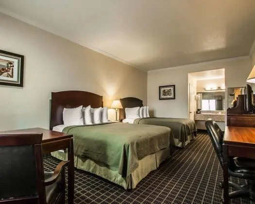 Standard Oda, 2 Büyük (Queen) Boy Yatak, Sigara İçilmez (Pet Friendly)