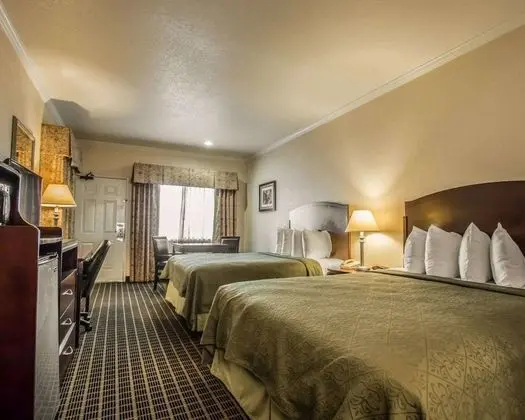 Standard Oda, 2 Büyük (Queen) Boy Yatak, Sigara İçilmez (Pet Friendly)