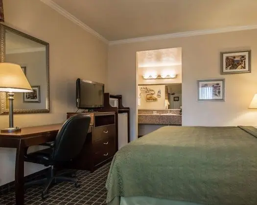Standard Oda, 2 Büyük (Queen) Boy Yatak, Sigara İçilmez (Pet Friendly)