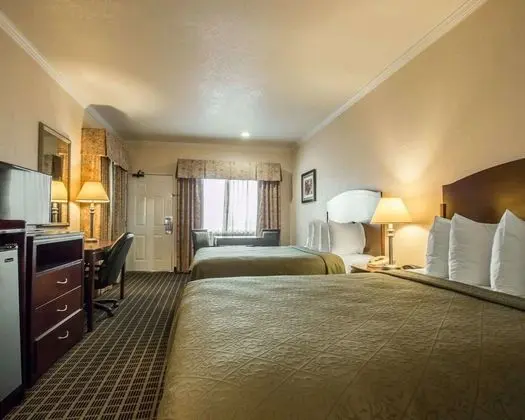 Standard Oda, 2 Büyük (Queen) Boy Yatak, Sigara İçilmez (Pet Friendly)