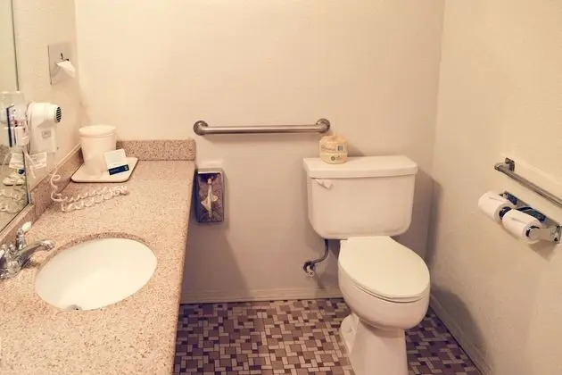 Oda, 1 Büyük (Queen) Boy Yatak, Engellilere Uygun, Sigara İçilmez (Roll-In Shower)