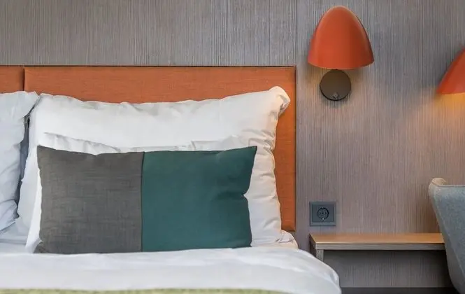 Deluxe Oda, 1 Çift Kişilik Yatak, Sigara İçilmez