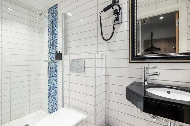 Standard Tek Büyük Yataklı Oda, Sigara İçilmez