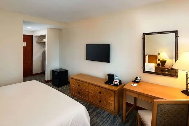 Standard Oda, 1 En Büyük (King) Boy Yatak