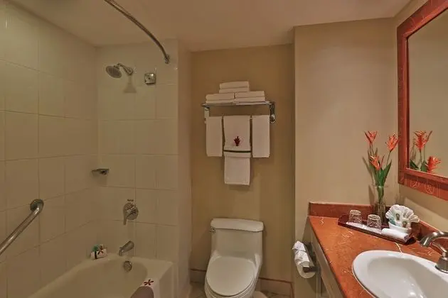 Standard Tek Büyük Yataklı Oda, 2 Çift Kişilik Yatak, Sigara İçilmez