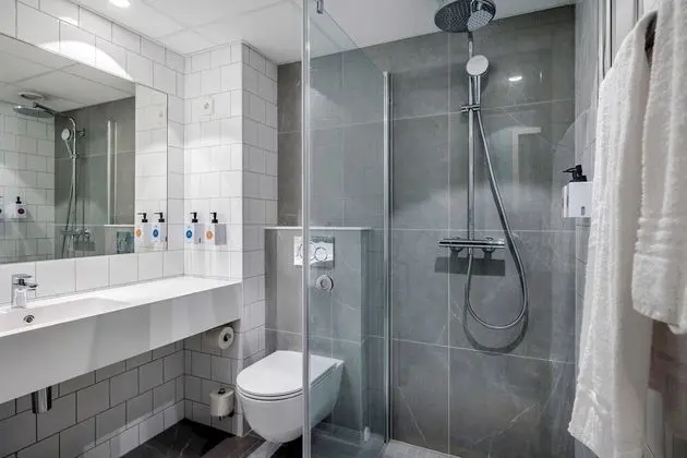 Deluxe İki Ayrı Yataklı Oda, Birden Çok Yatak, Sigara İçilmez