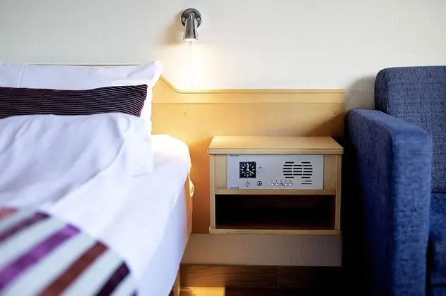 Tek Büyük Yataklı Oda, 1 Çift Kişilik Yatak ve Çekyat