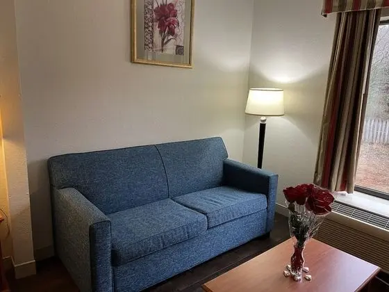 Oda, 1 En Büyük (King) Boy Yatak ve Çekyat, Sigara İçilmez