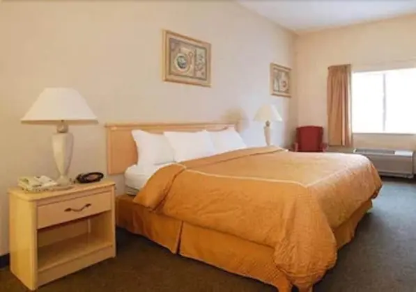 Süit, 1 En Büyük (King) Boy Yatak, Engellilere Uygun, Sigara İçilmez