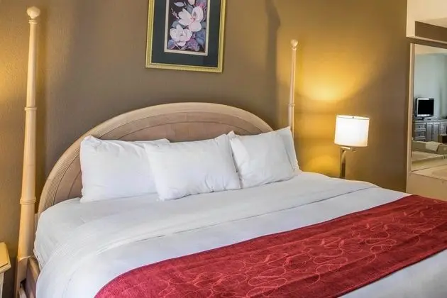 Deluxe Süit, Sigara İçilmez