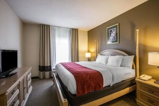 Deluxe Süit, Sigara İçilmez