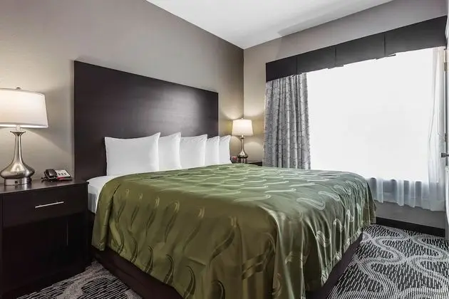 Business Süit, Sigara İçilmez (1 King, 2 Person Sofabed)